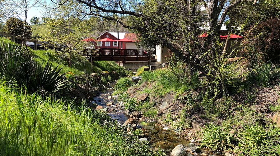 spring creek runs through amador city