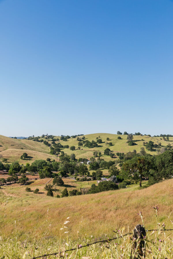 historic amador city overview